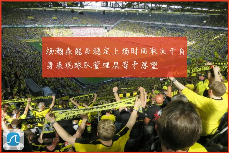 杨瀚森能否稳定上场时间取决于自身表现球队管理层寄予厚望