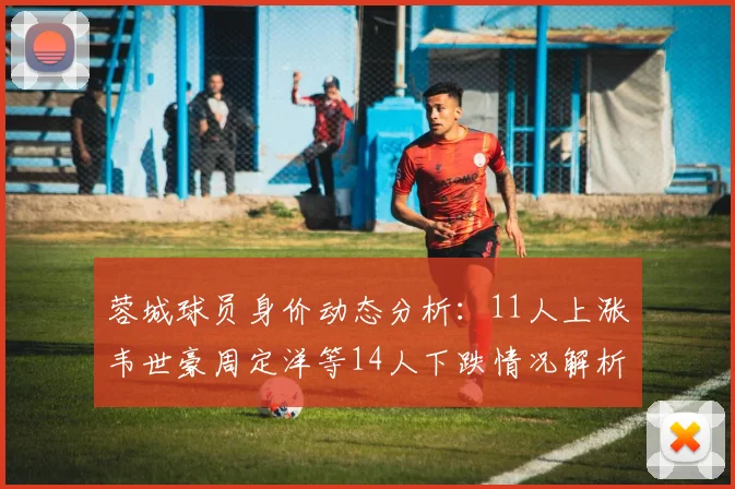 蓉城球员身价动态分析：11人上涨韦世豪周定洋等14人下跌情况解析