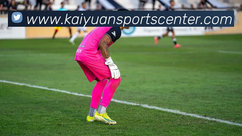 App Interface Preview