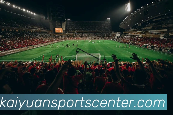 开元体育APP 封面图